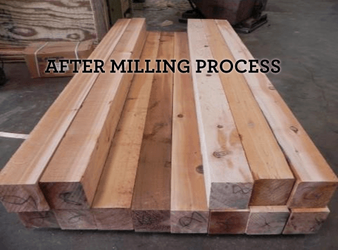 Unique Cedar Sawmill Process
